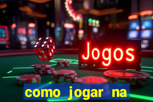 como jogar na lotinha do jogo do bicho